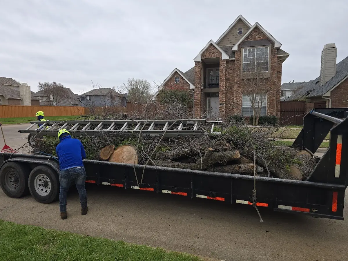 Expert Tree Fertilization with proper safety equipment in Braselton